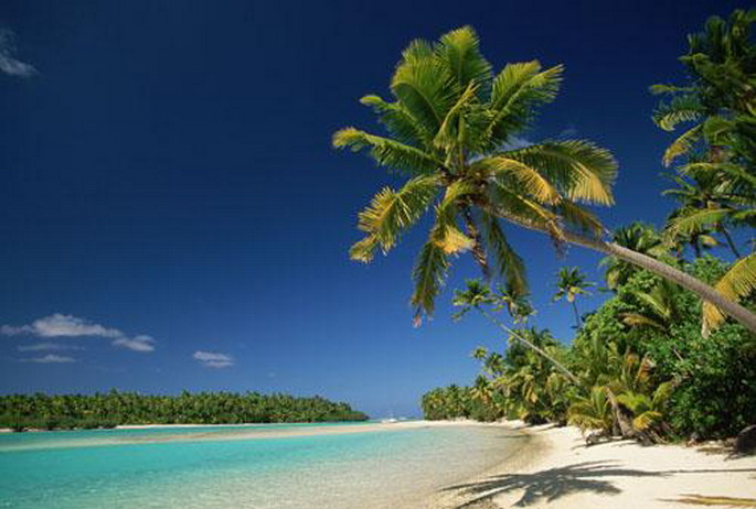 அழகுக்காட்சி பகுதி 02 Sea-palm-trees24