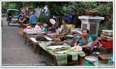 اغرب الاسواق في اسيا Unusual-asian-market-08