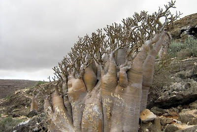 Un recorrido por nuestro planeta: asombrosas imagenes. - Página 2 35654ythfgjmhk