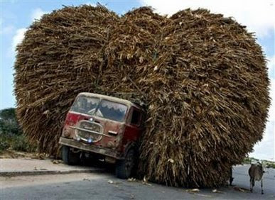 Foto Yang Mungkin Akan Membuat Anda Terkejut! Truck