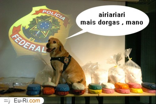 MAISS DORGASS!!! Mais_dorgas_do_eu-ri-500x332