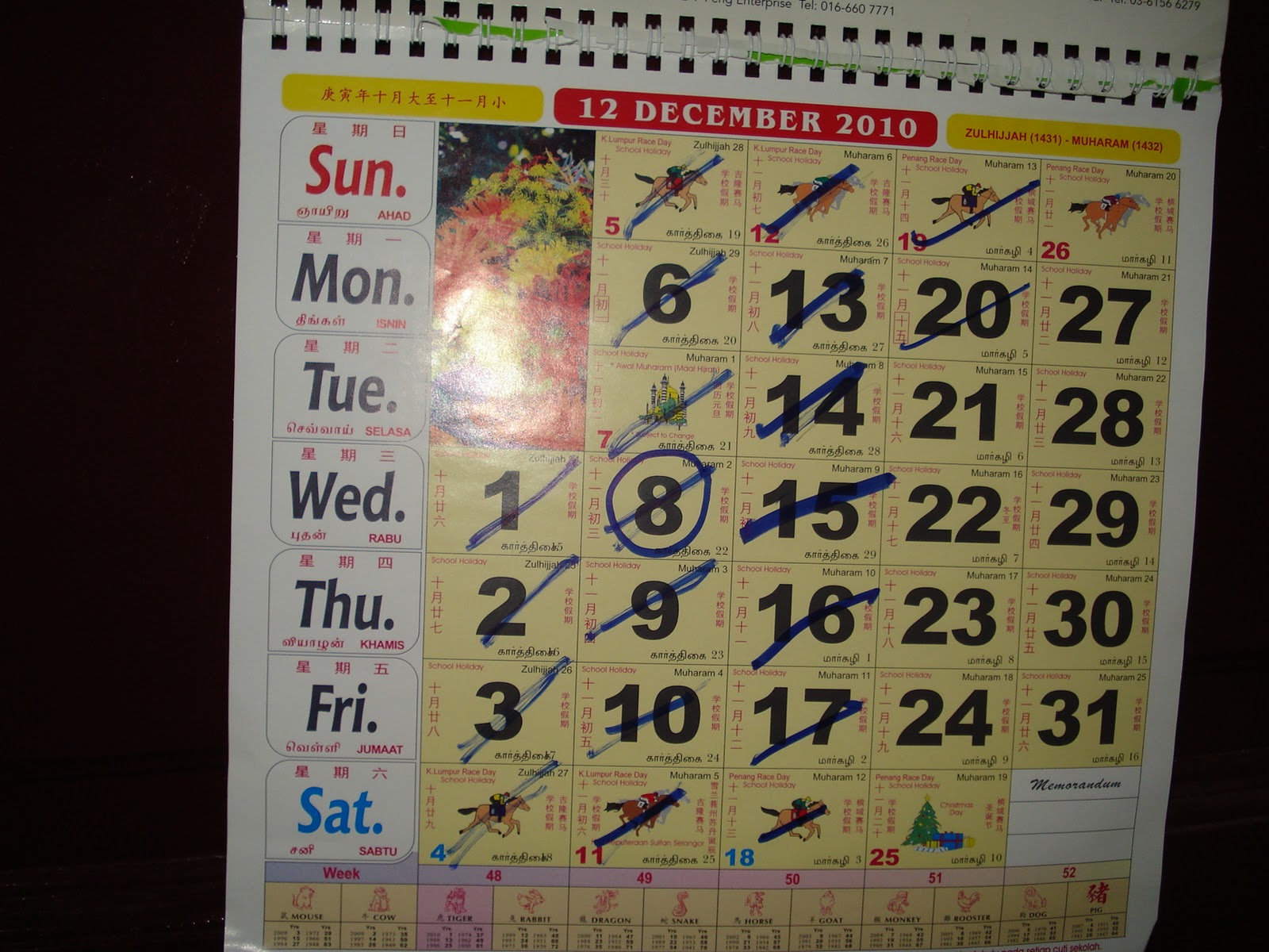 Kalendar Kuda Dalam Hidup Anda DSC05011