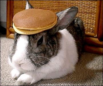 Sup RPers Rabbit_pancake