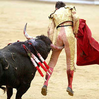 Spideralho - Funny Stuff - Página 16 Bull_fight1