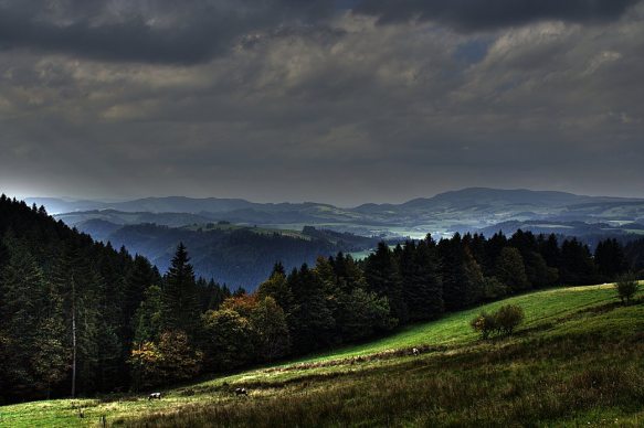 La prueba de padre Fenris Schwarzwald12