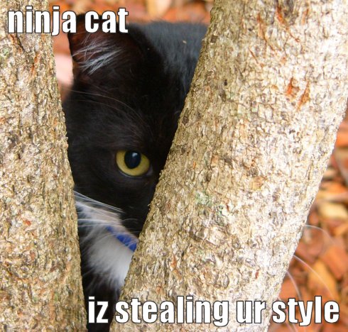 ITT; We talk using only pictures - Page 4 Lolcat-ninja-cat