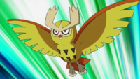 Youngster Albert 200px-Ash_Noctowl