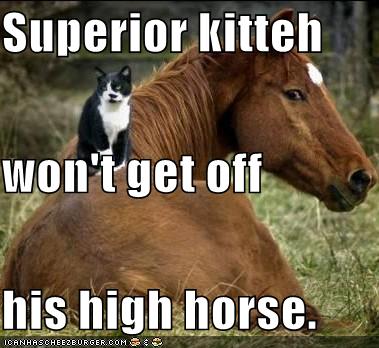 Get off your high horse Real fans Superior-kitteh-wont-get-off-his-high-horse