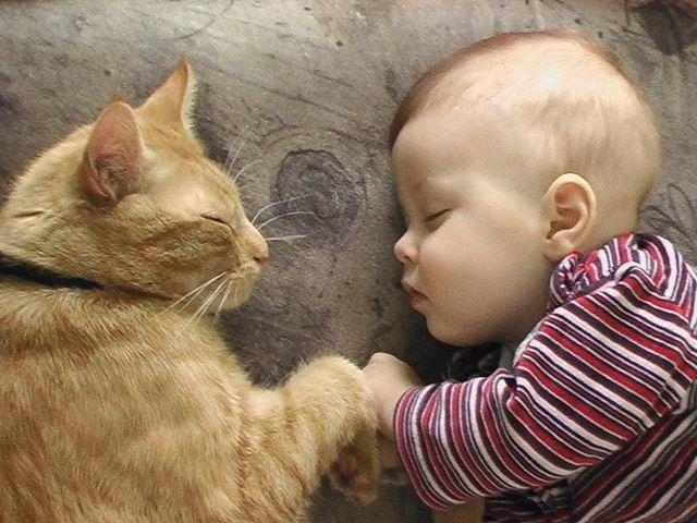 بين الاطفال والقطط سر فما هو !؟! Cat%20and%20baby%20sleeping