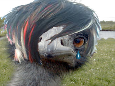 Ora pure gli animali sono emo!!!!!! Emo_emu