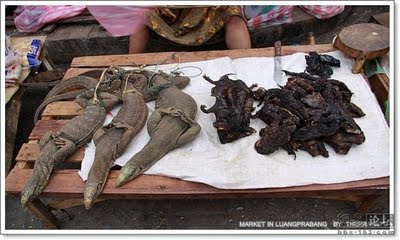 Pasar tani di thailand Unusual-asian-market-03