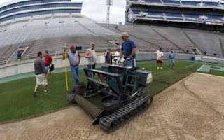 Proses Pembuatan Rumput Lapangan Sepak Bola 7wxzmqfh