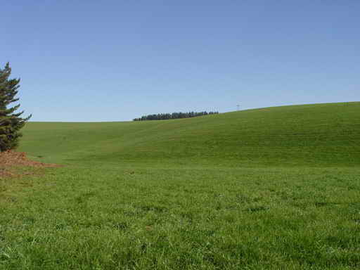 • Pradera Sōgen • Pradera%20ZeoSuelo%5B1%5D