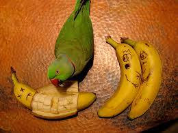 Top Funny Banana Banana1