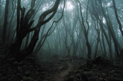 Картинката, която описва настроението ви.. Dark_Forest