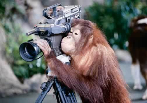 நாங்களும்தான்... Monkey_Camera