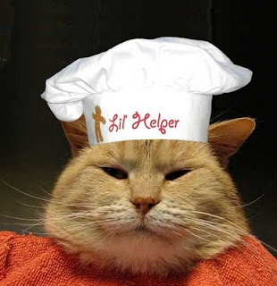 To be Cheesey Cooking%20cat