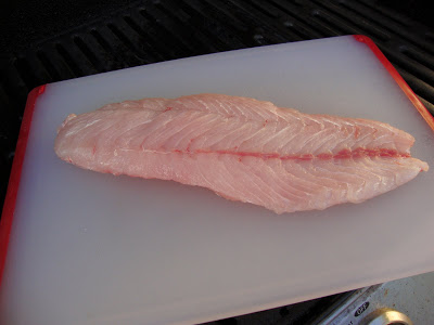 Great tasty fish meats of the world / Images Raw