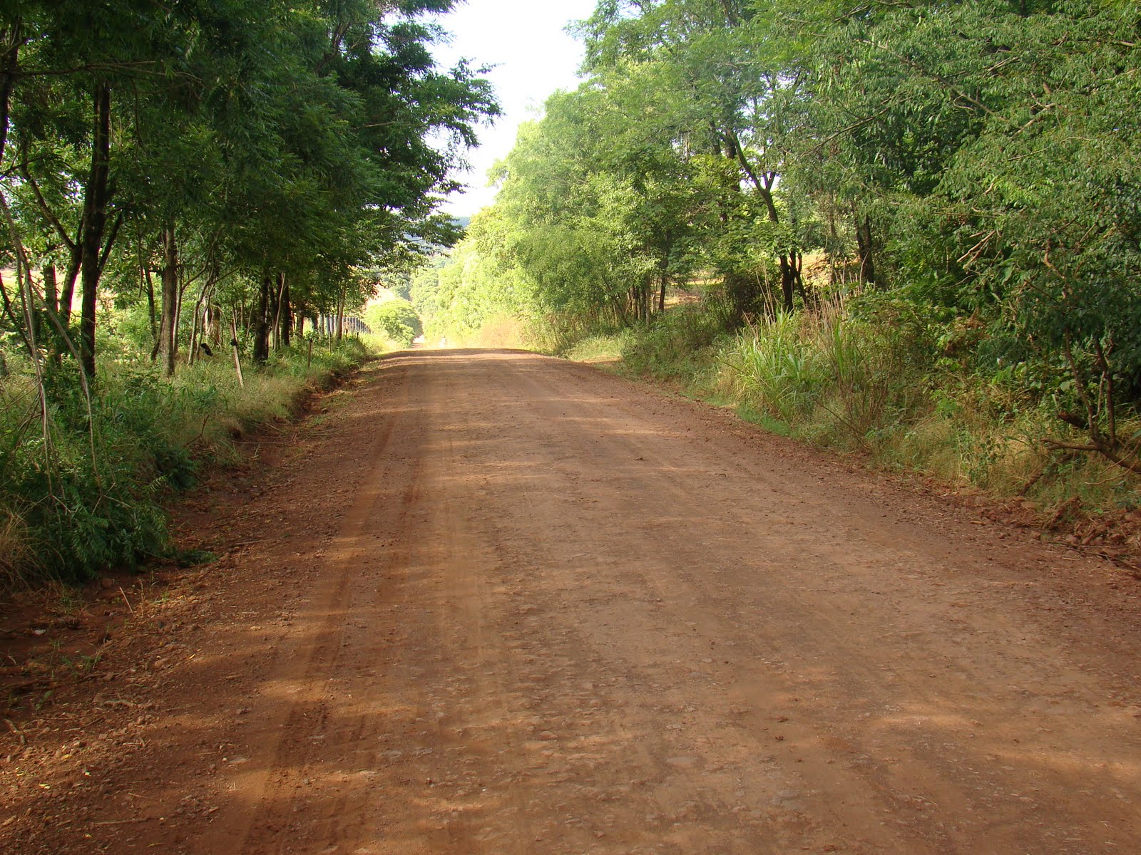 Diário dos Sonhos de EmersonPawoski - Página 27 DSC00621