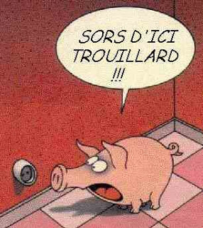 HUMOUR EN BD Cochon-reduit