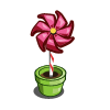 New Farmville Mystery Gift Items عناصر جديدة في صندوق هدايا فارم فيل Mystery-Gift-Rose-Pinwheel