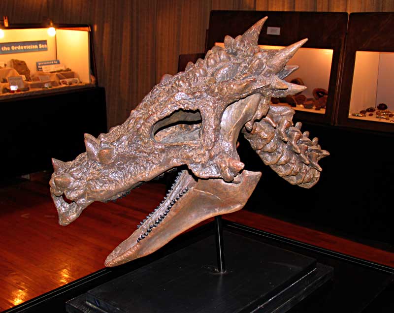 Los dragones existieron? Dracorex-hogwartsia-skull-with-flash