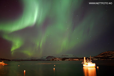 Polos magnéticos, frecuencia Schumann, tormenta solar. Frank-S_-Andreassen1