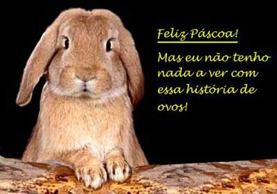 FELIZ PÁSCOA  Coelho_feliz_pascoa_WEB