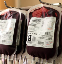 Gobierno de EU cultiva sangre artificial para sus soldados Bloodbank