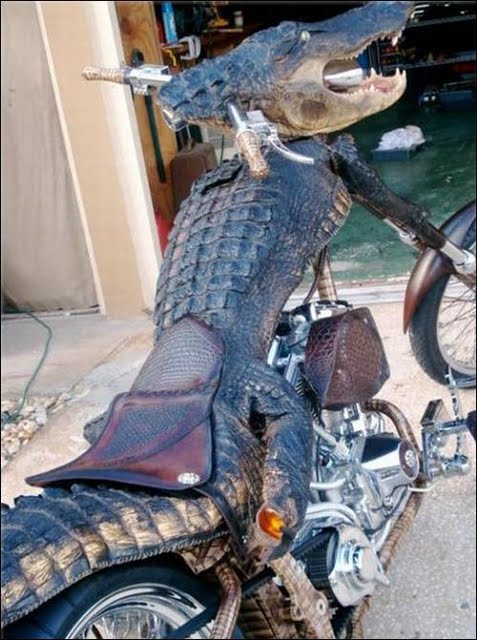 முதலை வடிவில் ஒரு பைக் - வினோத வாகனம் Crocodile-Bike%2B(5)