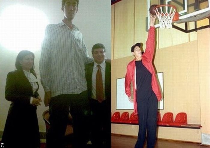 உலகில் மிக உயர்ந்த மனிதன்( 8'1")  Sultan-Kosen-tallest-man-15