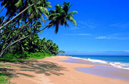 அழகிய படங்கள். - Page 6 59623-sri_lanka_tourism