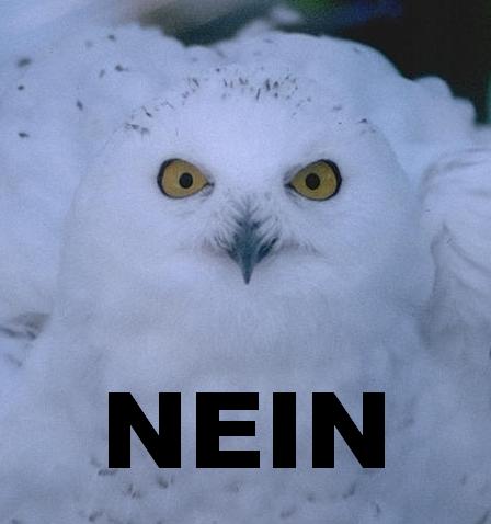 back again Nein_owl