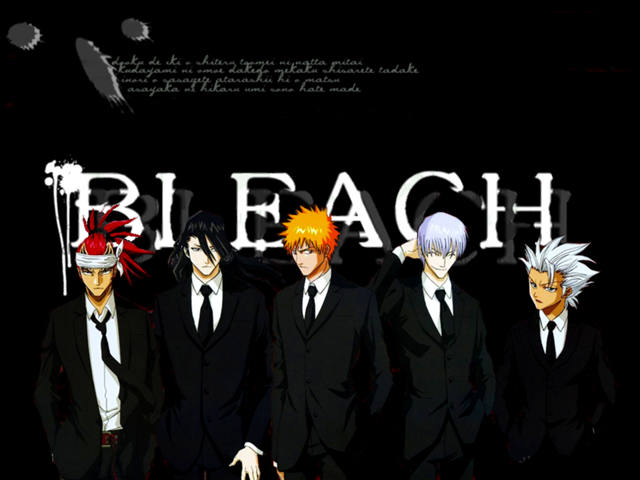 Bleach Lover  1168728900_bleach15