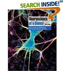 Neuroscience at a Glance 3