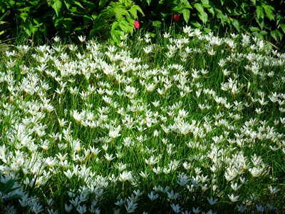  உழைப்புக்குத் தயாராக இருப்பவர்கள் ஒரு போதும் தோற்பதில்லை... Flower-bed