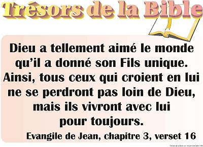 Le Seigneur Dieu répandra sur eux sa lumière. (Ap 22:5) Jean%25203-16