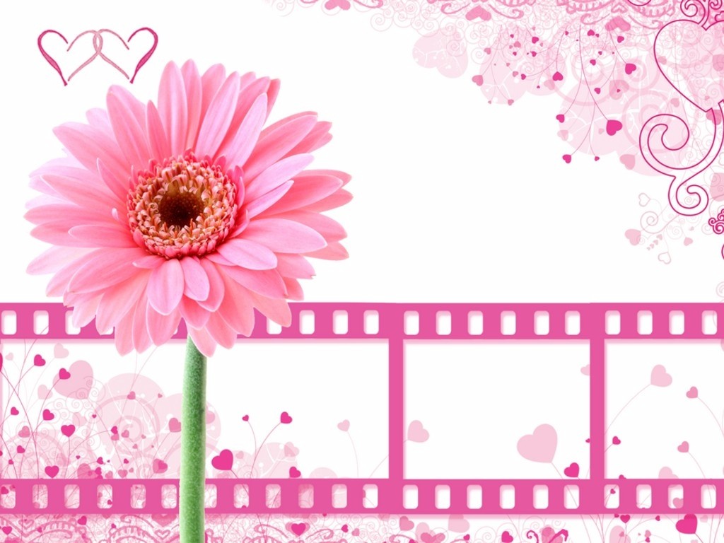 ممكن تصميم<<<<!!!!!!!!؟؟؟؟؟ Pink-background-with-film-clips