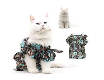 صح ملابس بس مولينا  Fashionable-cats-06