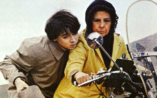 Quel est le dernier film que vous ayez vu ? Harold_and_maude