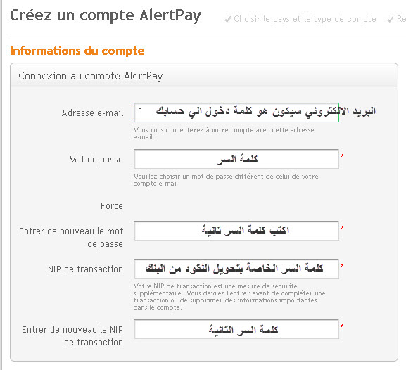       Alertpay      04