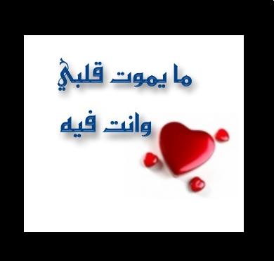 ~>~هـــمــــ قــــــلــــــب ـــــســــــات~>~ - صفحة 2 User57697_pic5784_1235901716