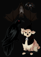 Τα κρυφά μαγαζιά του Stardoll Halloween