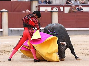 Catalunya se pregunta si el dolor d los toros es ético[PROU] Toros_WEB