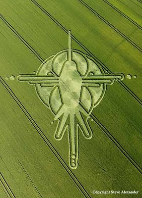 Qarqet Pri (Crop Circles) Mesazhe nga zotat. Hummingbird%2BCrop%2BCircle