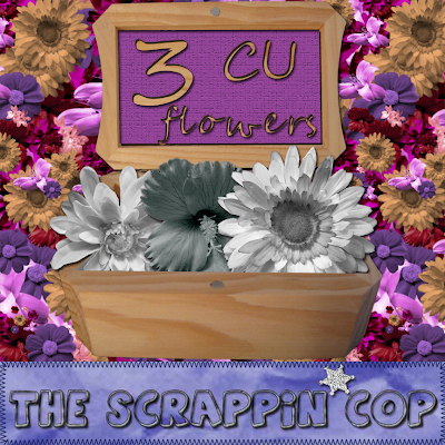 Lots of CU Flowers on my blog ScrappinCopCuFlower2_preview