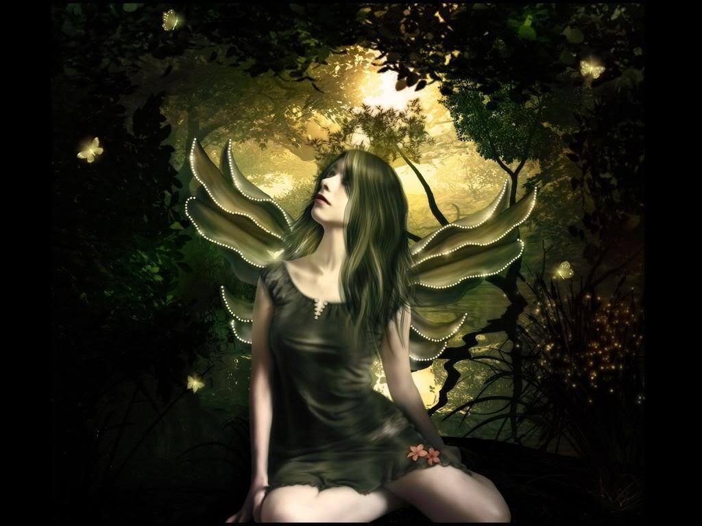 νεράιδες , λίγα λόγια και φωτογραφίες ....  Shinning-Butterfly-Fairy-Wallpaper-fairies-10270474-1024-768