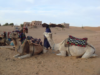 Marrocos 2010 168