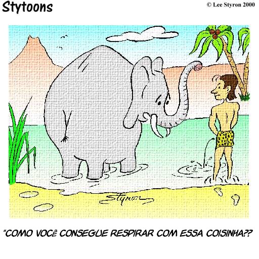 So para adultos  Elephant-penis