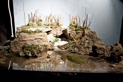 Miniatur-miniatur yang keren Detailed_weather_and_nature_models_13